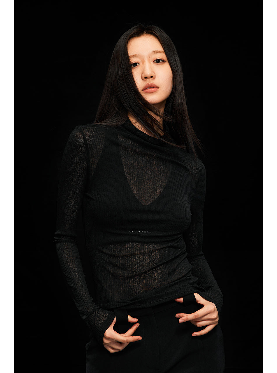 Black Semi-Transparent High-Neck Long-Sleeved Top